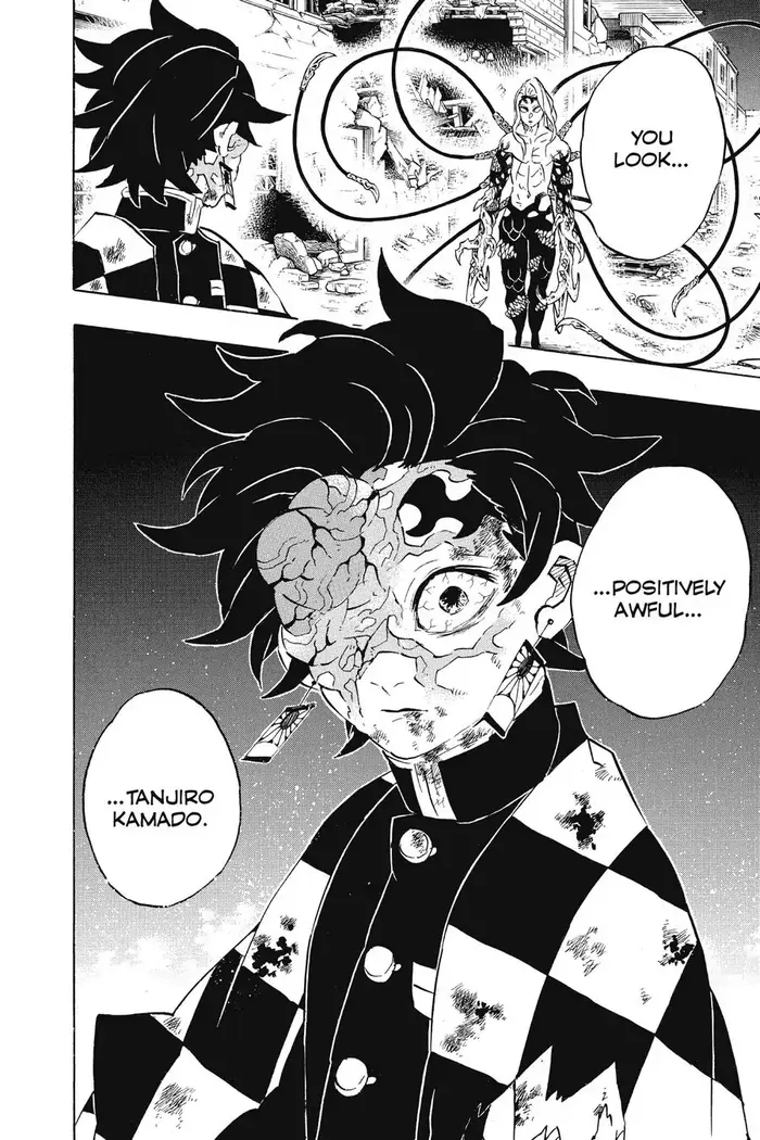 Demon Slayer Chapter 191 image 20_optimized